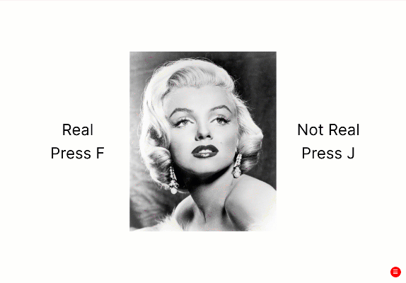 A gif of an example Thatcher task from the participant's view. On each trial, participants are presented with images of faces in either upright or inverted orientation.